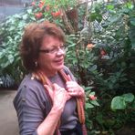 Anna Meade - Facebook