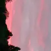 Anna Meade - @_anna_meade_ - TikTok