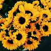 annameade28 - @annameade28 - TikTok