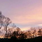 Anna Melzer - @rosenwell - Instagram