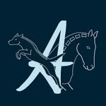 Anna Melzer - @tiermedizinische.chiropraktik - Instagram