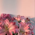 Anna Melzer - Facebook