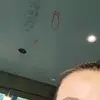 anna bird - @anna.merlo - TikTok