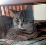Anna Merlo - Facebook