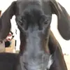 anna.meza36 - @nikcs0819 - TikTok