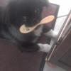 annaminisci3 - @annaminisci3 - TikTok