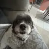 Anna - @annaminick - TikTok