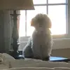 Giulianna Minogue - @giuliannaminogue - TikTok