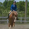 Anna minor_aqha - @anna.minor_aqha - TikTok