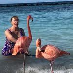 Anna Mintzer - @annamintzer62 - Instagram