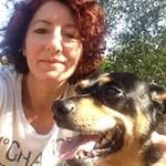 Anna Maria Mirarchi - @anna_maria_mirarchi - Instagram