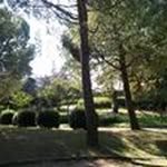 Anna Mirarchi - @anna.mirarchi.33 - Instagram