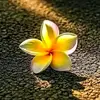 🌺Ananna Mirza🌺 - @anannamirza432 - TikTok