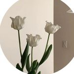 𝓐𝓷𝓷𝓪 - @anna.mit.a_ - Instagram