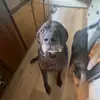 Annabelle Moats - @annabelle.moats3 - TikTok
