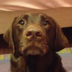Anna Mobley - @annamobley2003 - Instagram