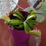 Anna Mocarska - @kwiatuszek224 - Instagram