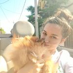 @anna_modinka_grooming_ - Instagram
