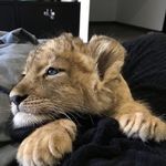 @annamoen__ - Instagram
