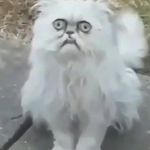 Anna Moffat - @__anna__spams__ - Instagram