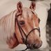 Anna Moffitt - Facebook