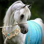 Anna Mohammed - @anna.mohammed.7503 - Instagram