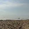 annamohler6 - @annamohler6 - TikTok