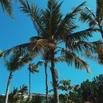 Anna & Daniel Molenaar - @adtraveldiary - Instagram