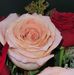 Anna Molenaar - Facebook