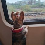 Anna Molly - Facebook
