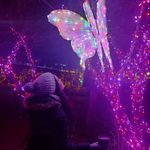 Anna Molly - @wildfirewonders - Instagram