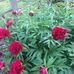Anna Molter - Facebook