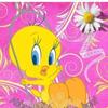Anna Mongelluzzo142 - @annamongelluzzo2 - TikTok