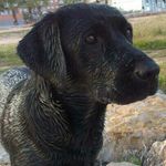 Anna Monreal Calpe - @monrealcalpe - Instagram