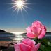 Anna Mons - Facebook