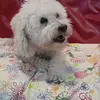Anna Montagna - @anna.montagna6 - TikTok