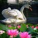 Anna Monteforte - Facebook