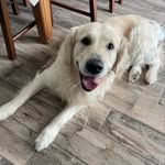 Anna Montella - @ettore.golden_ - Instagram