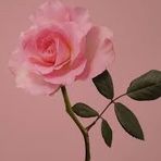Anna Montella - Facebook
