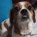 Anna Morgado - Facebook
