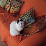 Anna Morreale - @anna.morreale.16 - Instagram