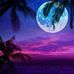 Anna Mroczek - Facebook