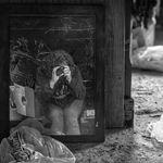 Anna Mullins - @a_mullinsphotography - Instagram