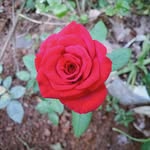 Anna munna - @anna_munna_k - Instagram