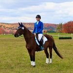 Anna Myles - @anna_myles_eventing - Instagram