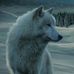 Anna Nagy - Facebook