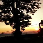 Anna Nasto - @anna_nasto_2074 - Instagram