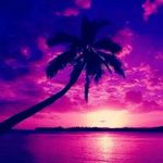 anna neal - @annaneal5671 - Instagram