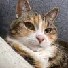 anna_nero1 - @anna_nero1 - TikTok