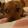 anna_nero - @anna2112345678 - TikTok